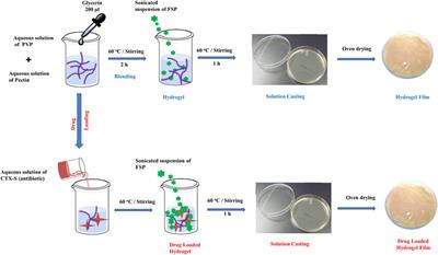 Novel Stimuli-Responsive Pectin-PVP-Functionalized Clay Based Smart Hydrogels for Drug Delivery and Controlled Release Application
